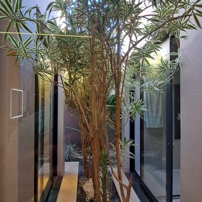 WhatsApp Image 2025-07-16 at 16.28.36 (1)