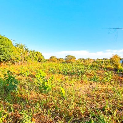 WhatsApp Image 2025-07-23 at 13.15.25 (1)