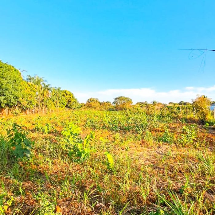 WhatsApp Image 2025-07-23 at 13.15.25 (1)