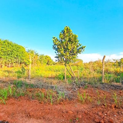 WhatsApp Image 2025-07-23 at 13.15.25