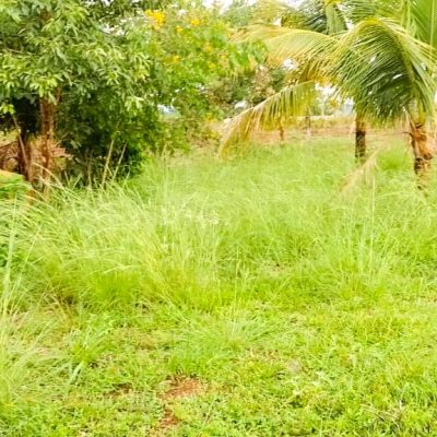 WhatsApp Image 2025-09-19 at 14.33.05