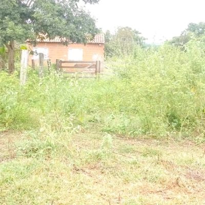 WhatsApp Image 2025-09-19 at 14.33.06 (1)