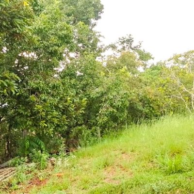 WhatsApp Image 2025-09-19 at 14.33.07 (3)