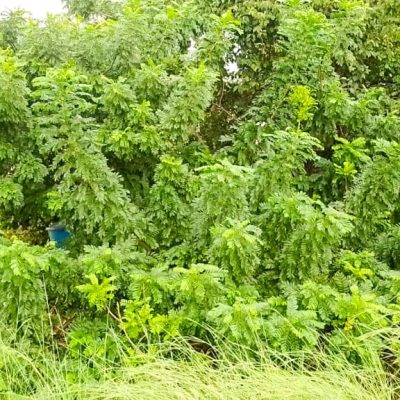 WhatsApp Image 2025-09-19 at 14.33.07