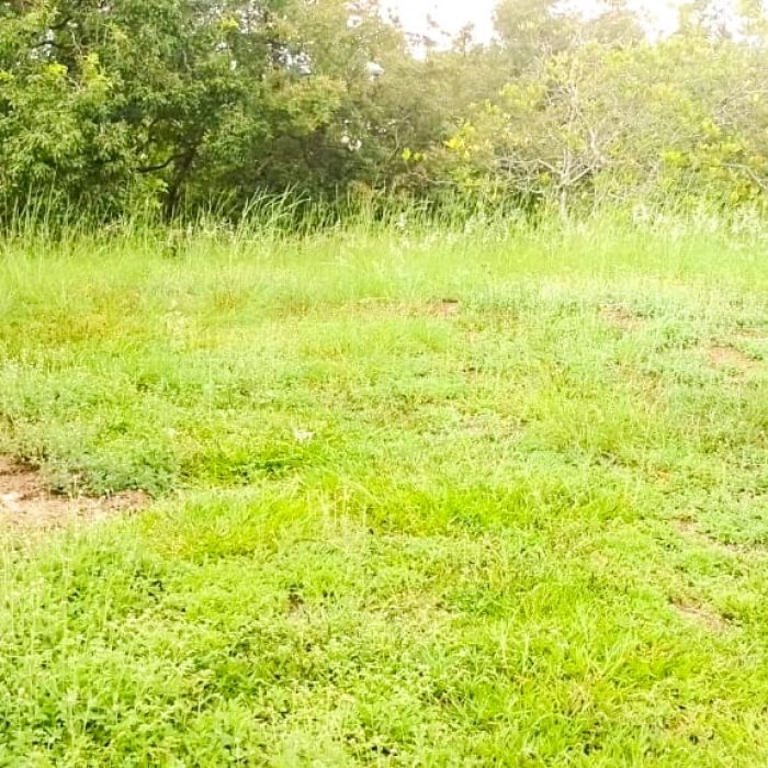 WhatsApp Image 2025-09-19 at 14.33.08 (1)