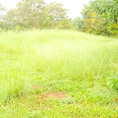 WhatsApp Image 2025-09-19 at 14.33.08 (3)