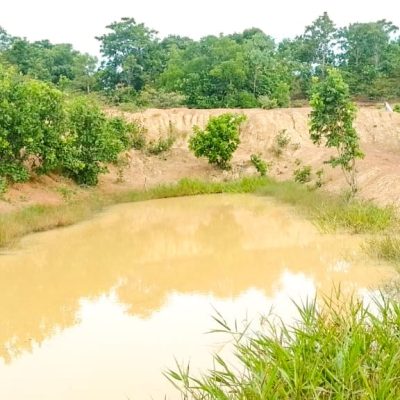 WhatsApp Image 2025-09-19 at 14.33.08