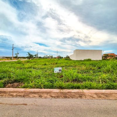 WhatsApp Image 2025-11-26 at 16.49.07