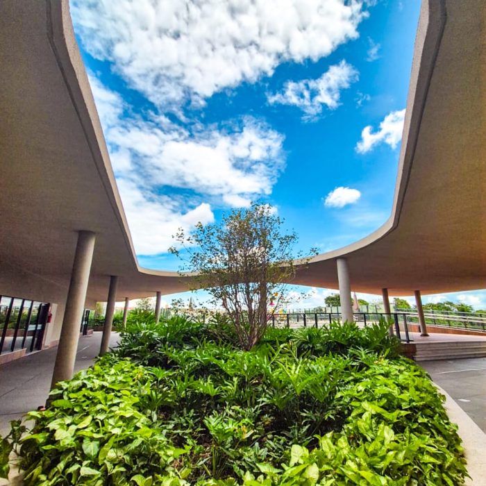 WhatsApp Image 2025-12-15 at 16.53.39 (1)