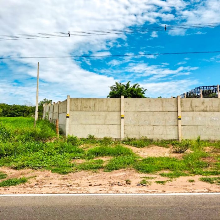 WhatsApp Image 2026-01-14 at 10.35.46 (1)