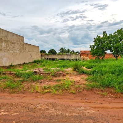 WhatsApp Image 2026-02-03 at 08.03.41