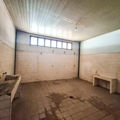 WhatsApp Image 2026-04-08 at 17.14.06 (1)